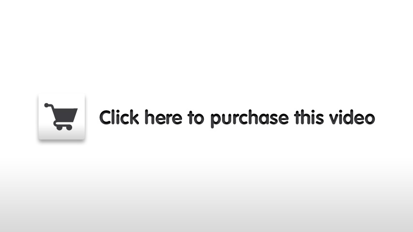 buy_video_link.png (3,652 bytes)